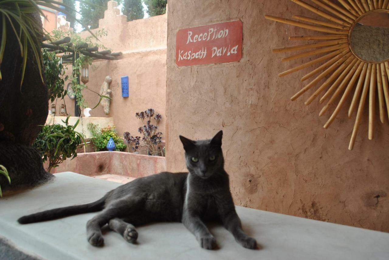 Auberge Kasbah Darla Таханаут Экстерьер фото